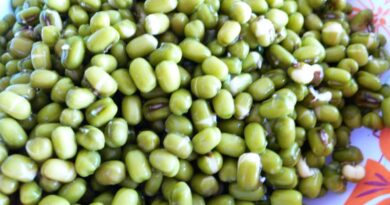 Importers restless due to ban on import of moong with immediate effect