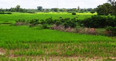 Central authorities target rural growth
