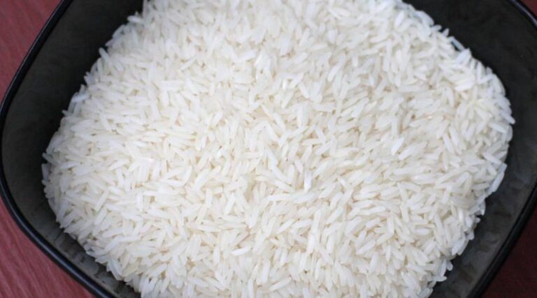 Seminar discussed the model of “Fragrant rice- clean shrimp” in the Mekong region