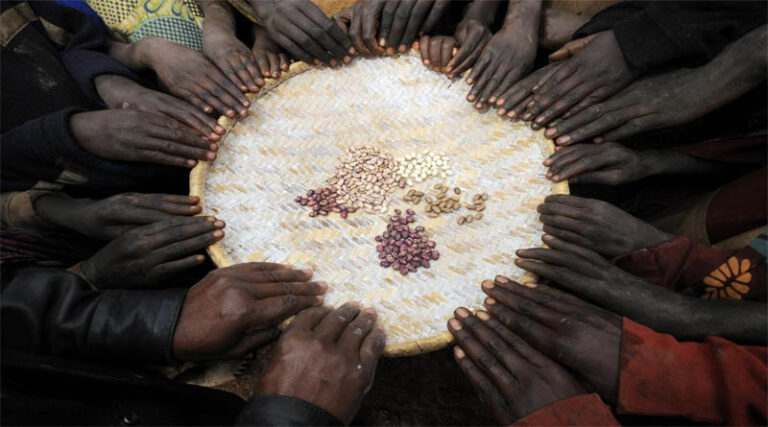 CGIAR to Launch Advisory Panel and Consultations to Boost Partner Engagement