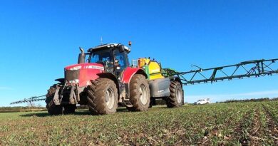 Assistance to optimise spring grass weed application