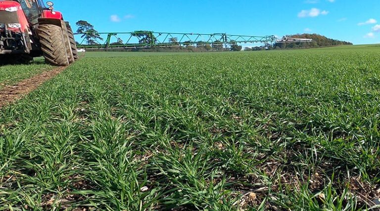 Agriculture minister says summer grain challenge to be met