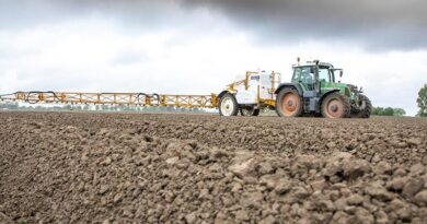 Sums add up for pre-em potato weed control