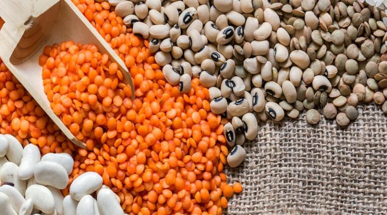 Indian Government may formulate long term policy to enhance pulses production