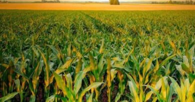 Australia: Major partnership to deliver spray hazard warning system