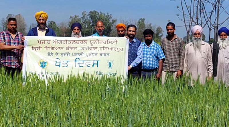 KVK, Hoshiarpur Organizes Field Day on Wheat Sown With Super Seeder