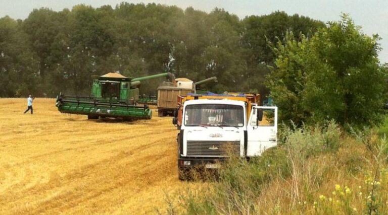 High Food and Fertilizer Prices and War in Ukraine