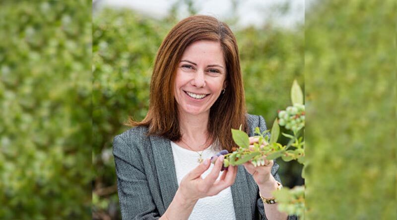 Big opportunities for food in health and wellness