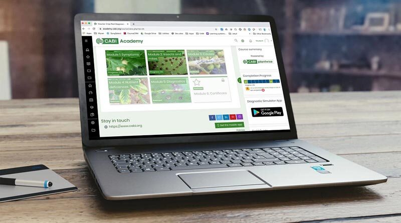 CABI Academy digital teaching resources addressing agricultural challenges now available in Rwanda