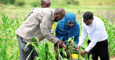 FAO welcomes decision to mark International Day of Plant Health annually on May 12