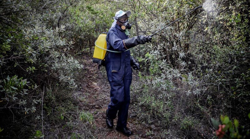 FAO welcomes decision to mark International Day of Plant Health annually on May 12
