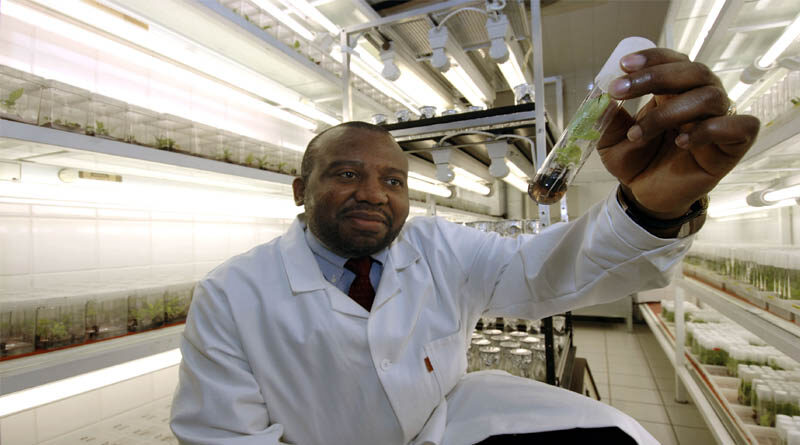 New FAO report highlights possible benefits and risks associated with tomorrow’s food