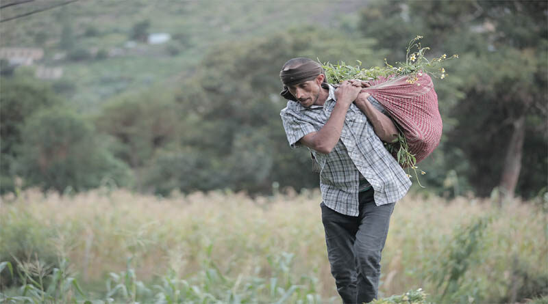 Yemen: Acute hunger at unprecedented levels as funding dries up