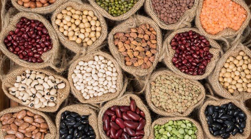 Australia: Grain legume growth targeted in new WA research