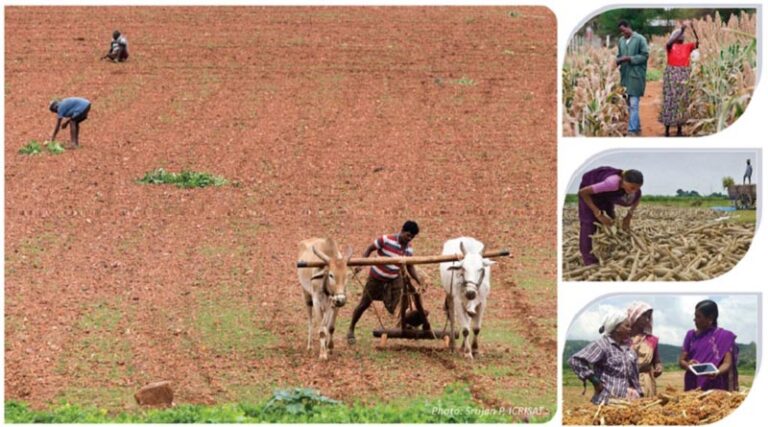 Icrisat@50: engagement with development of agriculture in drylands