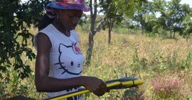 Icrisat Wins Servir West Africa Phase 2 Implementation Award