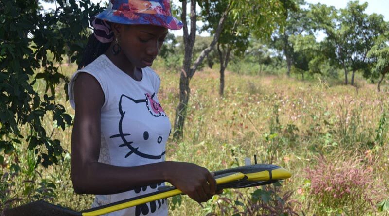 Icrisat Wins Servir West Africa Phase 2 Implementation Award
