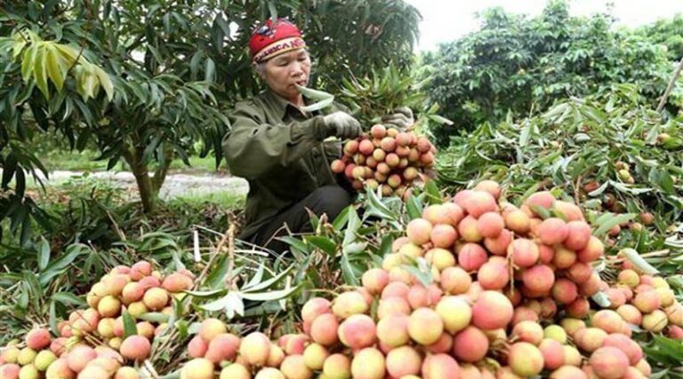 Agro-forestry and fishery exports in the first 2 months of 2022 reached 8 billion USD
