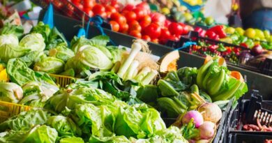 Vegetable prices tipped to go higher due to spiralling costs