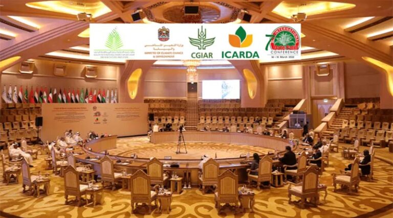 A Green Light for Desert Farming Collaboration