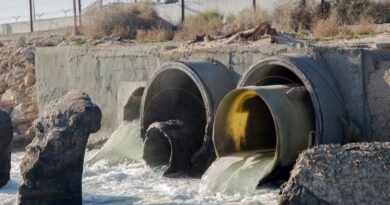 World leaders and experts call for action to protect the environment from antimicrobial pollution