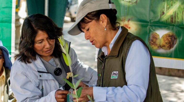 Digital advisory tools in the hands of women agricultural service providers