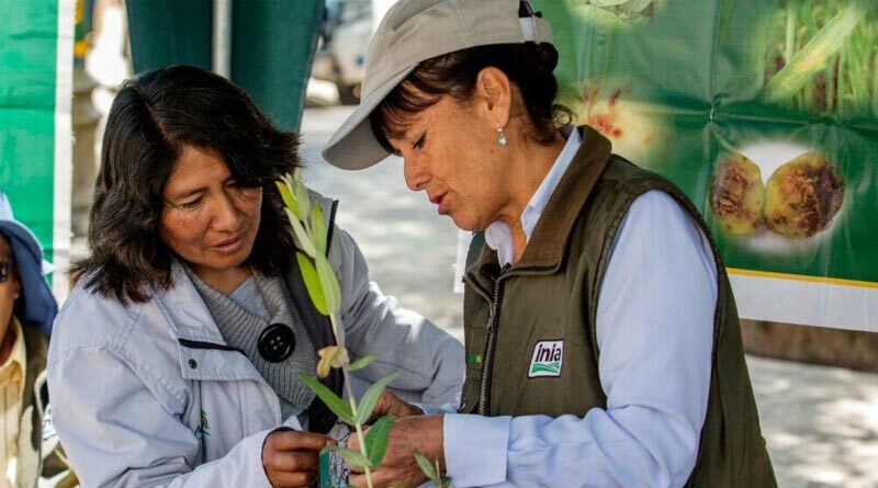 Digital advisory tools in the hands of women agricultural service providers