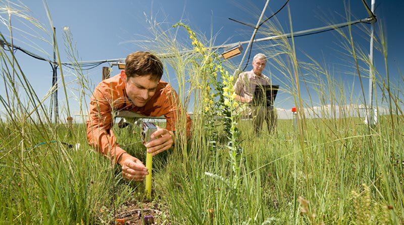 USDA-Agricultural Research Service and Weed Science Society of America Collaborate to Present Weed Science Webinar Series