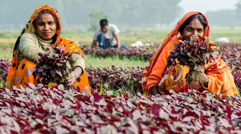 How Bangladesh Became a Test Case for Women’s Empowerment