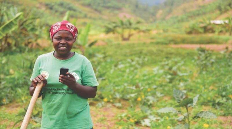 African agriculture’s digital revolution: UN report pinpoints main obstacles and opportunities