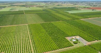 GRDC Research Updates uncover potential phosphorous savings