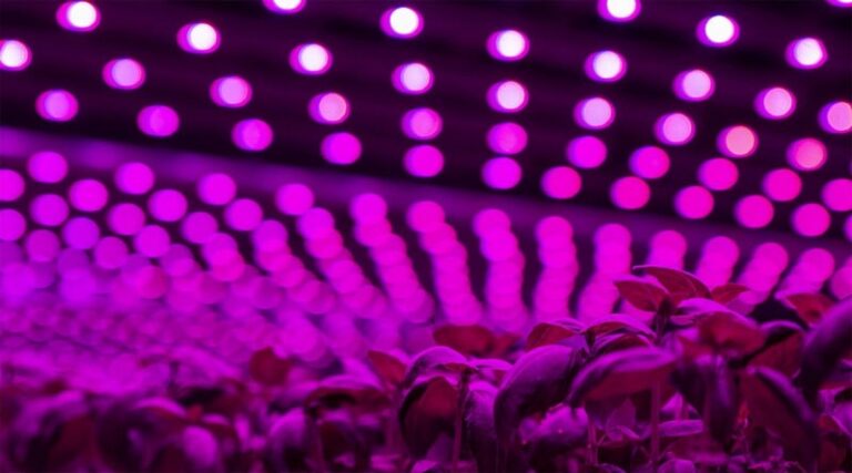 Future Crops Announces New Investment Round, Led by Tencent
