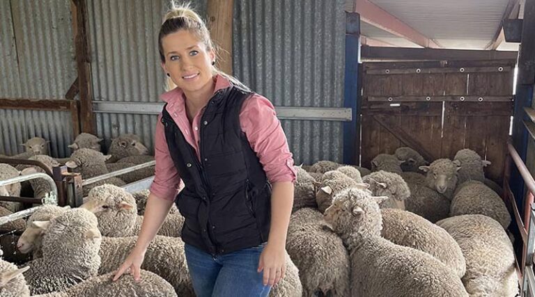 Endless opportunities in agriculture