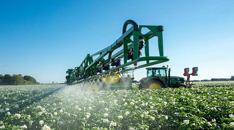Heat stress proves major pain point for potato growers