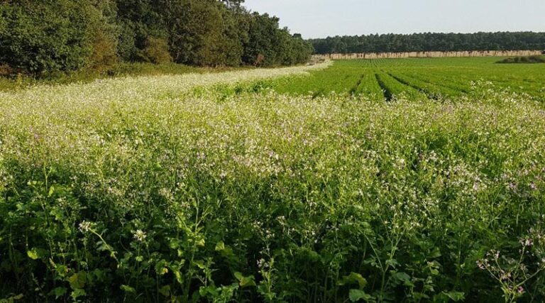 India’s Agriculture Exports touch a historic high of USD 50 billion