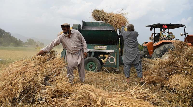 New Zealand to support vulnerable rural Afghan with emergency agricultural inputs and cash assistance