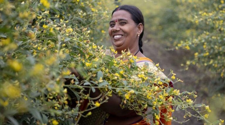 Icrisat calls for applications from agtech startups under nidhi-sss