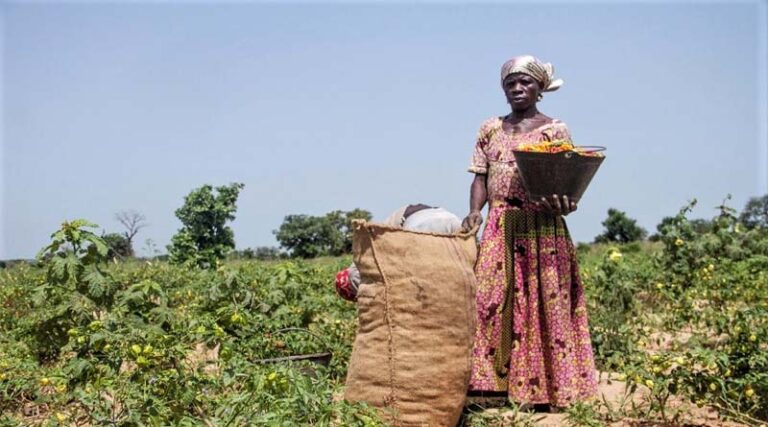 USD $106bn finance gap in sub-Saharan Africa and Southeast Asia agricultural business