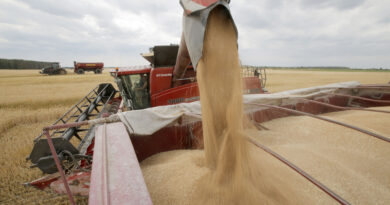 War in Ukraine: FAO renews appeal to bolster agriculture and provide urgent support to vulnerable rural households