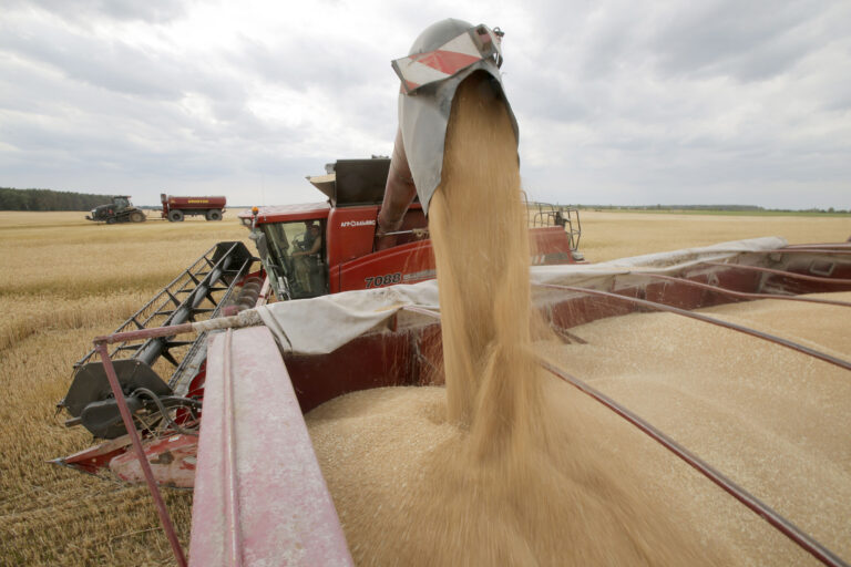 War in Ukraine: FAO renews appeal to bolster agriculture and provide urgent support to vulnerable rural households