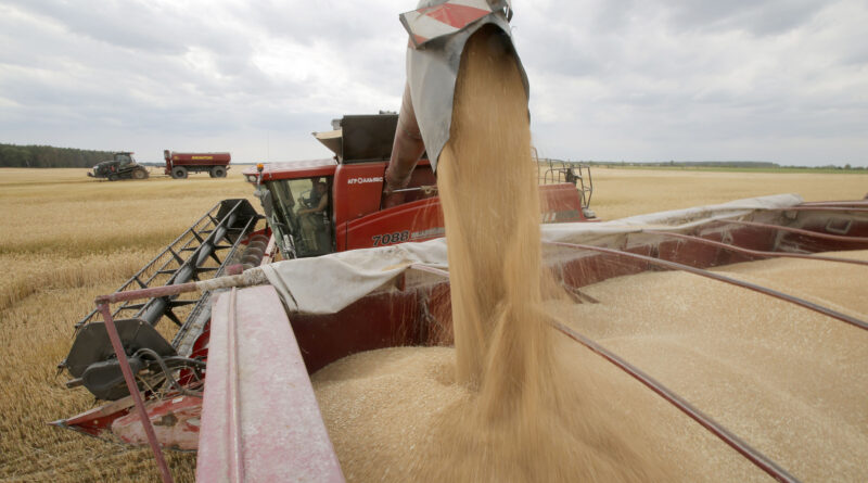 War in Ukraine: FAO renews appeal to bolster agriculture and provide urgent support to vulnerable rural households