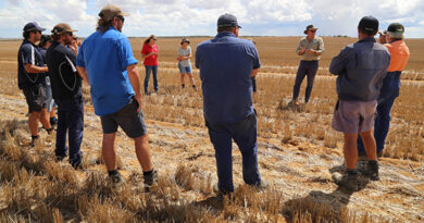 Australia: CSIRO tours address mouse control in WA’s regions