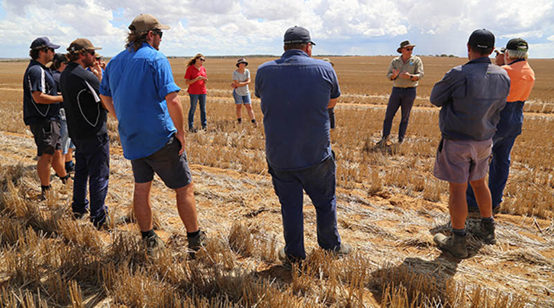 Australia: CSIRO tours address mouse control in WA’s regions