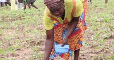 Can 4R Practices Limit Nitrous Oxide Emissions From Increased Fertilizer Use In SSA?