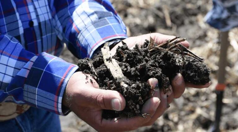 AgriLAC Resiliente: A CGIAR Initiative to increase resilience, sustainability and competitiveness in Latin America and the Caribbean