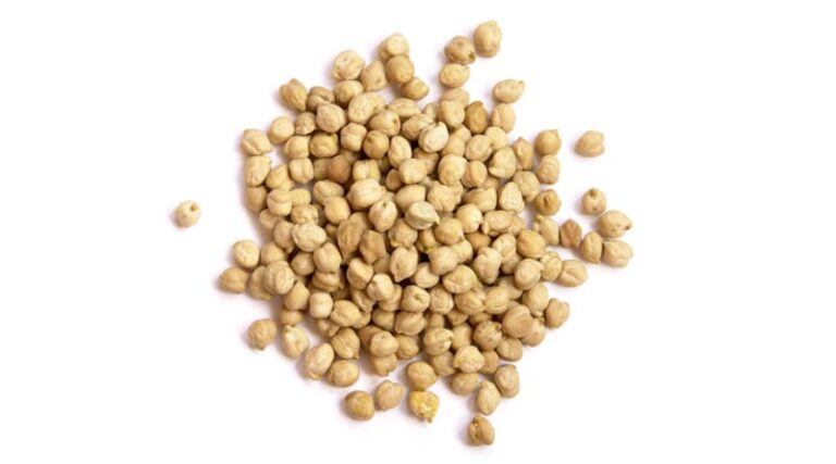 Northern growers warned to consider elevated disease risk when making chickpea planting decisions