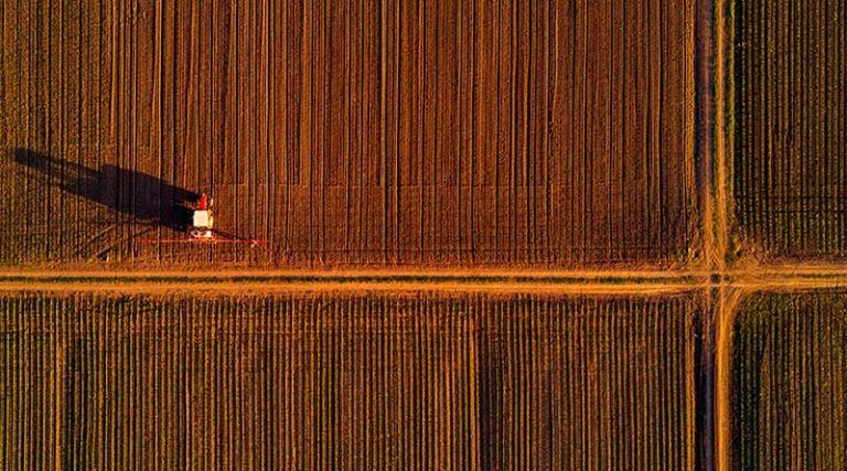 Australia: Cropping update – April 2022