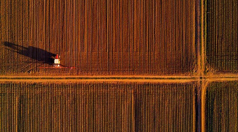 Australia: Cropping update – April 2022