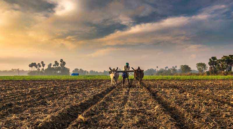 Farmers to get more than Rs. 2000 crore on saturday