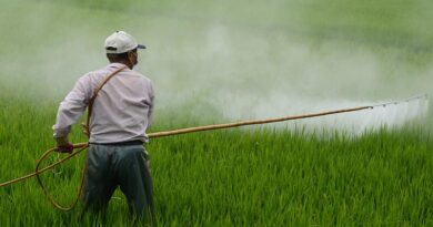 10 myths about Pesticide use in India